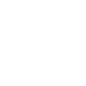 Flaunt & Flourish logo