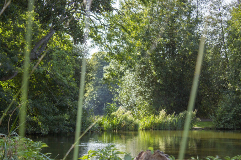 Overstone Lakes