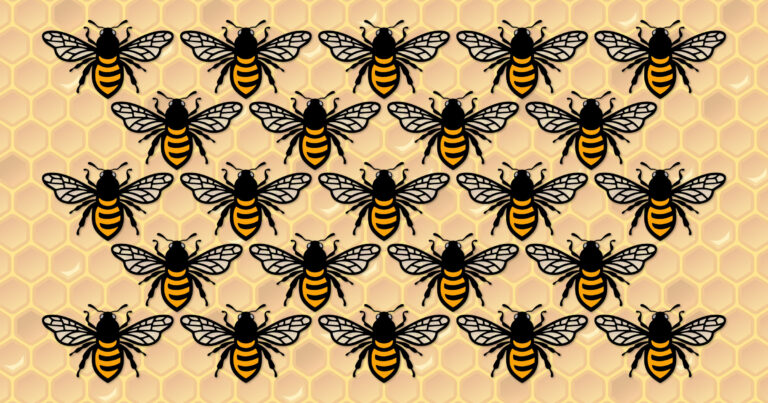 Bee Inspired, Bee Aware, Bee Active