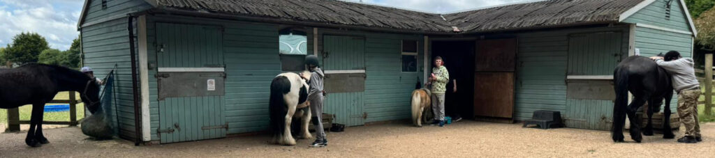 Horses in the stable yard