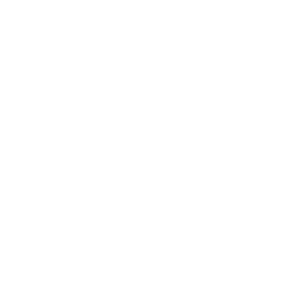Circles Network Logo